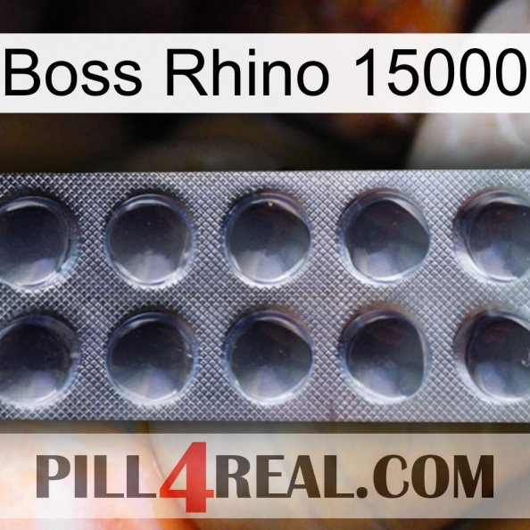 Boss Rhino 15000 30